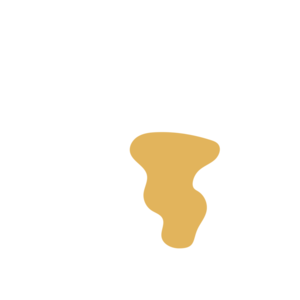 2321cf2a-placeholder-1770022007