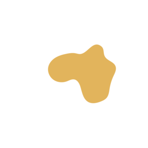 E4fb44aa-placeholder-1770016256