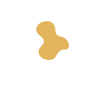 62cafb2d-placeholder-1770033615