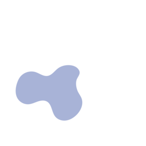 3b3d2570-placeholder-1770048268