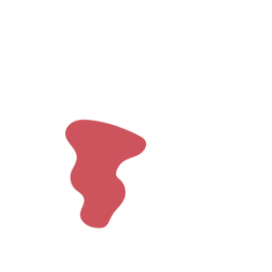 C1113089-placeholder-1770056438