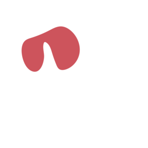 8cd96096-placeholder-1770012273