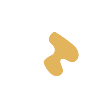 6522b87e-placeholder-1770006862