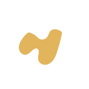 Ccf65d10-placeholder-1770084936