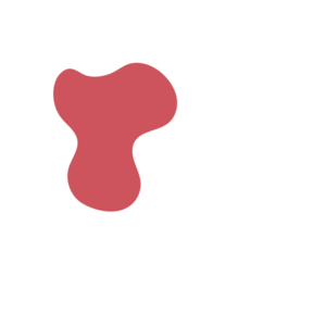 32cb19e3-placeholder-1770010771