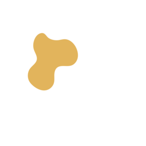 D43c4834-placeholder-1770019963