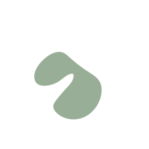 54e8e8ad-placeholder-1769022023