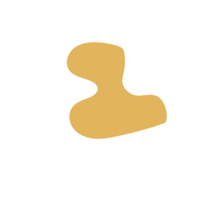 E178f2af-placeholder-1770051076