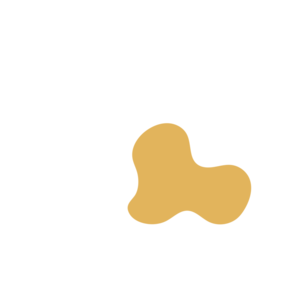 4cd47670-placeholder-1770006883