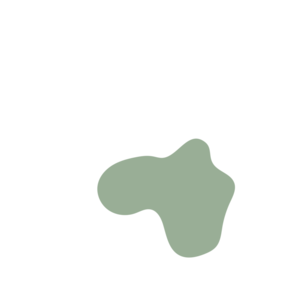 B4b525ea-placeholder-1770013116