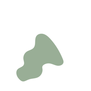 E3152960-placeholder-1770053791