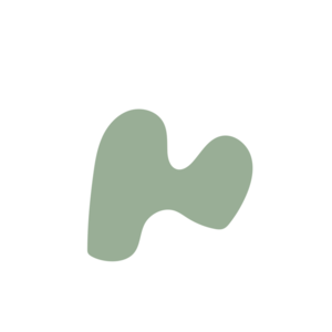 Cab0156a-placeholder-1770007151