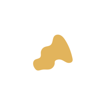 352cc807-placeholder-1770018968