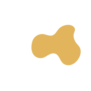 Bd7ce06c-placeholder-1770032638