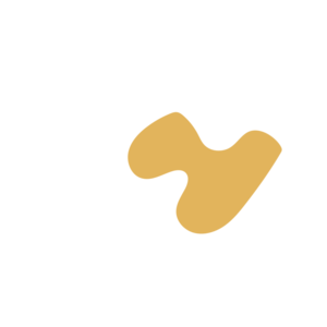 90e13578-placeholder-1770005295