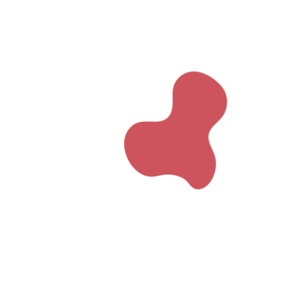 756a2394-placeholder-1770047867