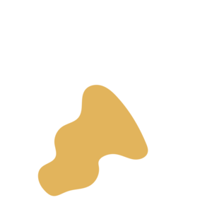 20181fba-placeholder-1770052553