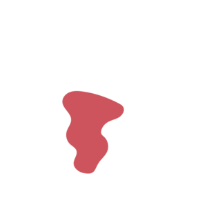 9b6d6e60-placeholder-1770016550