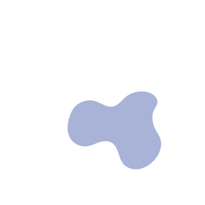 4811e826-placeholder-1770006128