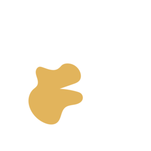 B87528de-placeholder-1770012359