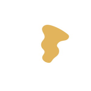 A08c938c-placeholder-1770028412