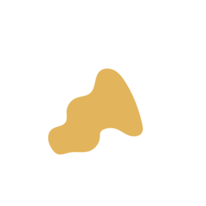 83b9f687-placeholder-1770010110