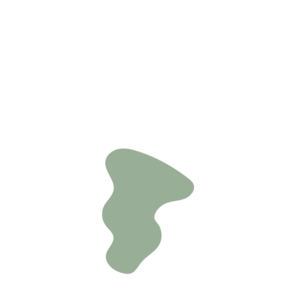 8c9b1513-placeholder-1770017945