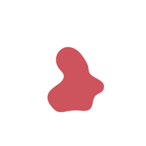 5a0e64a8-placeholder-1770054429