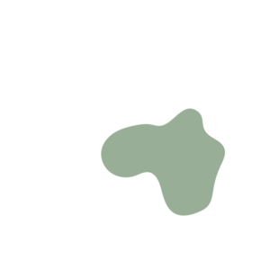 C8491a2d-placeholder-1769341166