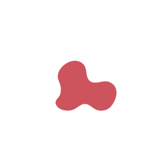 512bd902-placeholder-1769020075