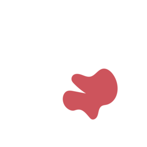 2ff4f5a1-placeholder-1770006512