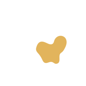 E3a5fb82-placeholder-1770019908