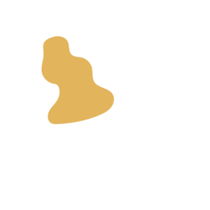 92b2b499-placeholder-1769024212