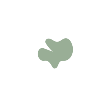 4e3651b2-placeholder-1770019515