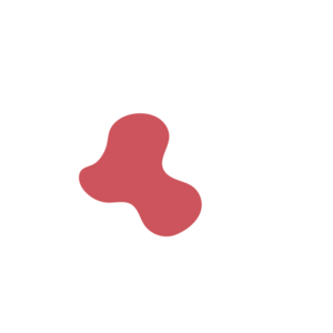 8e6a4f56-placeholder-1769992000