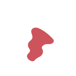 1714fa58-placeholder-1770020011