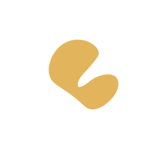 3edfb69d-placeholder-1770017906