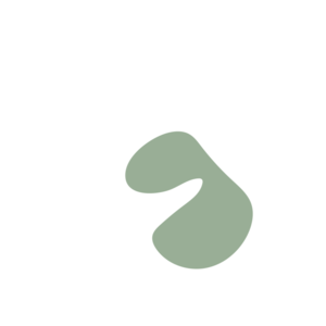 B999a556-placeholder-1770011551