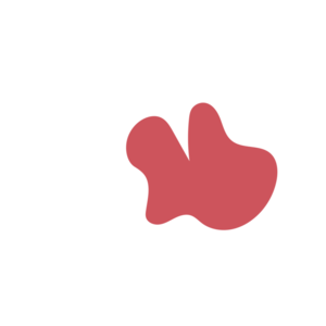 C8d8c3b8-placeholder-1770010969