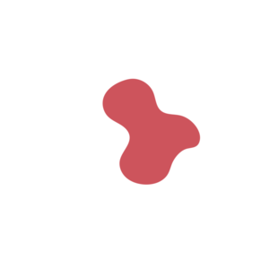 6f721362-placeholder-1770009687