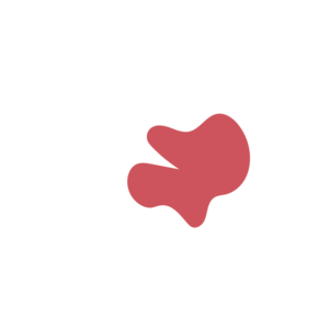 72f71cac-placeholder-1770017829