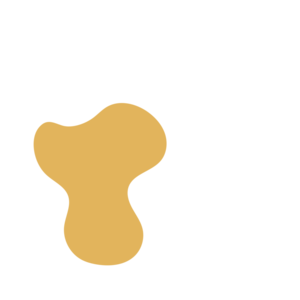 922650f4-placeholder-1771569210