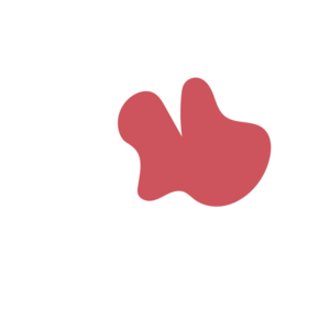 2c7dde06-placeholder-1770008134