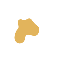 98b6976c-placeholder-1770018959