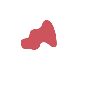 C91e2f5e-placeholder-1770010607