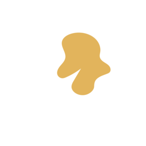 D5aa64e4-placeholder-1770006751