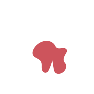 31367816-placeholder-1770018595