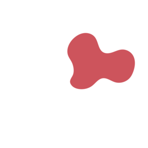 48069c8a-placeholder-1770020059