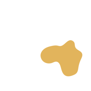 D6613ecc-placeholder-1770004945