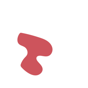 D9fc9ee6-placeholder-1770017659